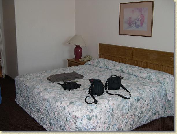 Sei già all'ultima foto